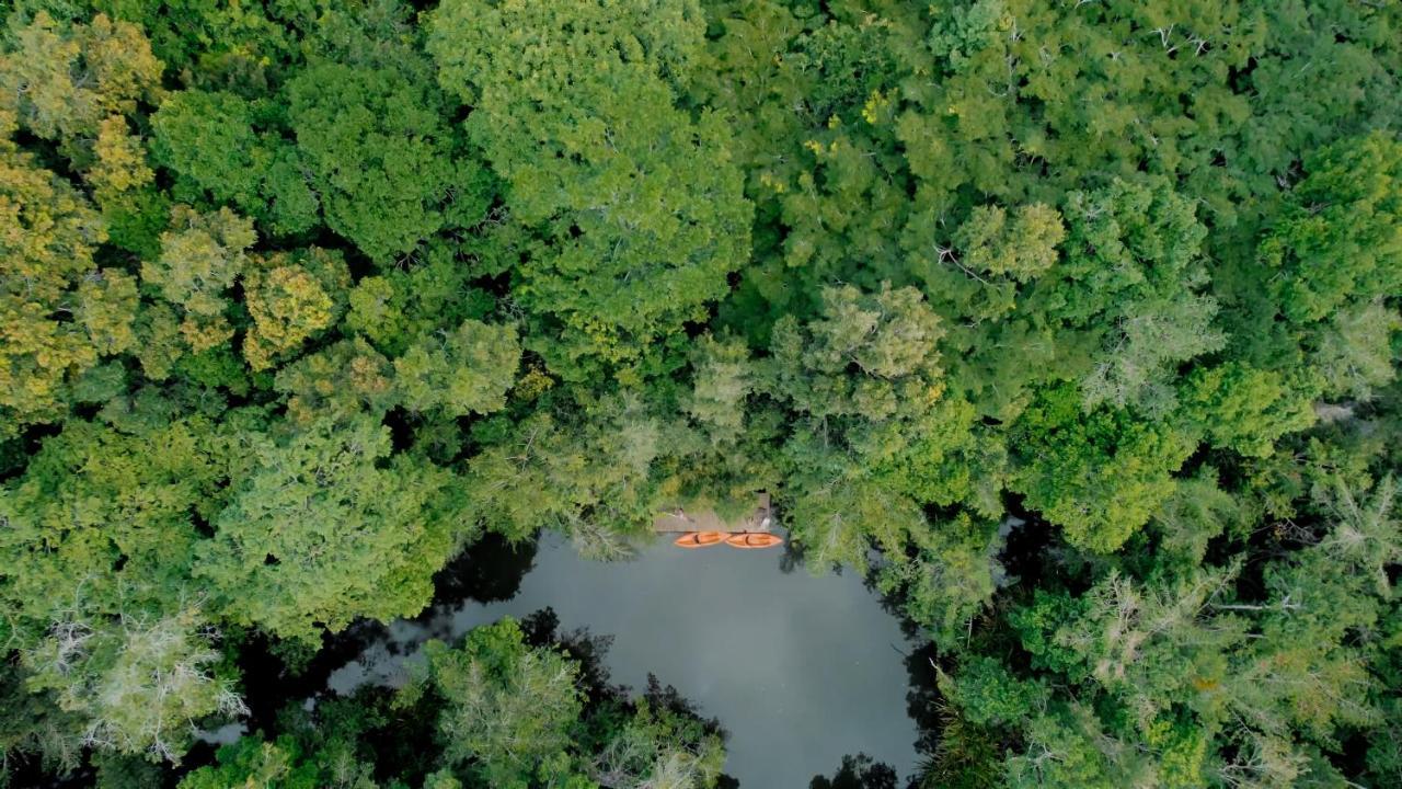 Vila Monjua Trancoso Villa Ngoại thất bức ảnh